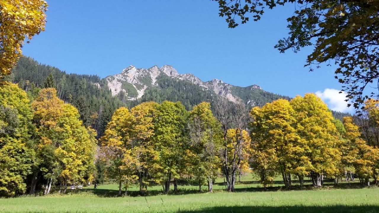 Pension Trillerhof Ramsau am Dachstein Exterior foto